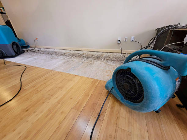 Professional Structural Drying technician working in Hanson, MA